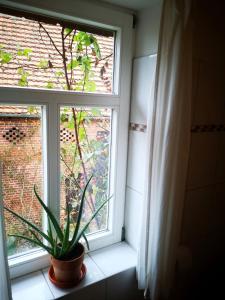 Ferienwohnung zur Alten Mühle in Rühstädt