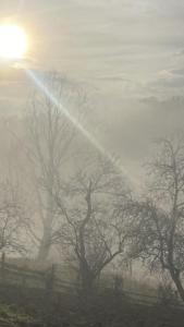 Оселя тихої долини