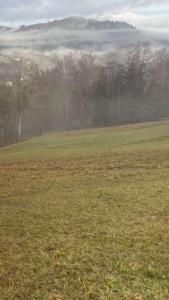 Оселя тихої долини