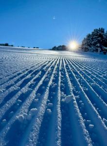 Isolaccia angolo di paradiso