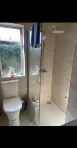 ChestNut View Oldcastle 1 bedroom self-catering