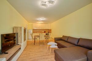 Villa Vitosha Apartment 3