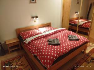 Špindl Cozy Apartment