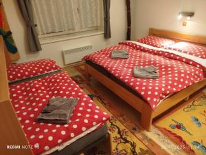 Špindl Cozy Apartment