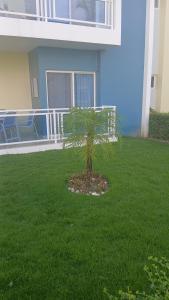 Eden Caribe Punta Vana