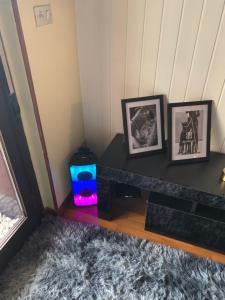 Suite 55 - Urban Chic & Terrace