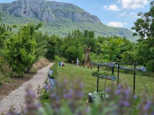 Ramonda Serbica- Peaceful Retreat in Sicevo Gorge