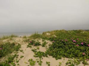 Luxury Retreat with Pool - By Traum Ferienwohnungen