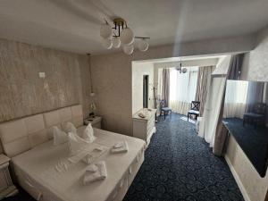 Pensiunea Izvoare Olanesti 3***