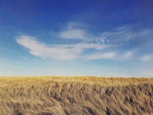 10 person holiday home in Frøstrup-By Traum