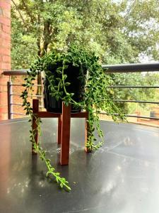 Apartment of Convenience-In the heart of Midrand