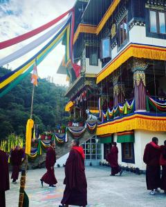 HimalayaNest -Inclusive Eco and Local Food