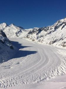 Apartmán Chalet Foresta OG Bettmeralp Švýcarsko