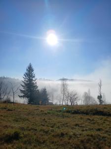 Гірська вершина