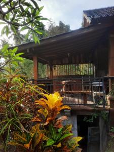Natha House - Riverside Homestay in Buleleng