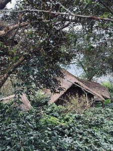 Sook sa ngop สุขสงบ