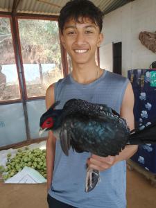 Gaurishankar organic home stay