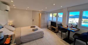 Studio de la Villa Thérèse, Piscine & Jardin