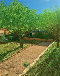 Studio de la Villa Thérèse, Piscine & Jardin