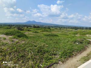 Casa Playa Eugen beach house with pool