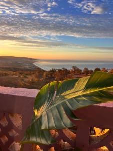 Zeri Surf taghazout hiltop