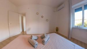 Sunny apartment img65