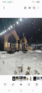 4 Chalet near Borjomi