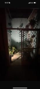 Viva a vibe - Caragua