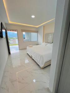Penthouse Duplex Apartment in Ciudad 2000