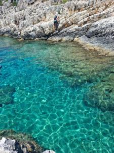 Studio Petrino - A holiday nest!