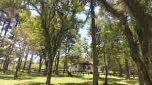 Casas de Campo Mozzafiato