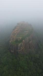 Sigiriya Arecanut Garden