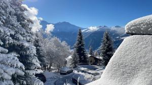 Master Bedroom - Verbier Chalet