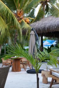 Palma De Maldives