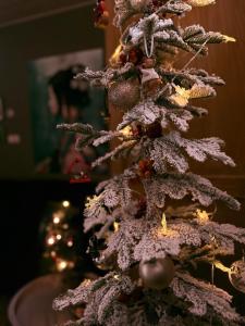 Entire spacious 6 persons house near the Efteling and Dutch Dunes