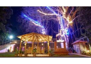 1BHK Apartment - 360 Bliss
