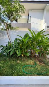 New premium Pool Villa 5 bedroom