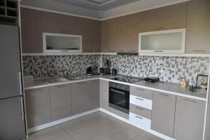 Cactus luxury apartment oreoi