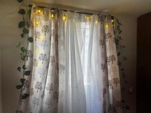 Luxury New Fully Equipped Dream Apartment