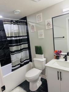 Roj exclusive comfort home