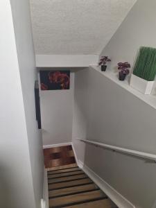 Roj exclusive comfort home