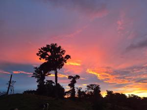 Hospedaje Bosque del Río