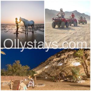 Ollystays Mangroovy 2 BR Beach and Pool Free access