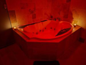 Apocalypse Love Room