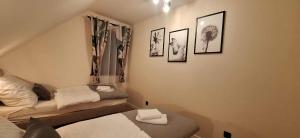 Domek Apartament Zielona Polana