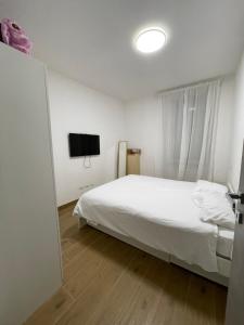 Camelia House - modern two rooms apartment with private outdoor courtyard