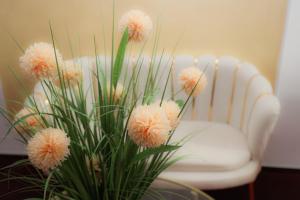 Complex ALMA - Resort & SPA, Furnicoși