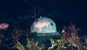 Nekoli Glamping at the Foothills of Mt Meru