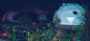 Nekoli Glamping at the Foothills of Mt Meru