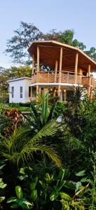 Nekoli Glamping - Riverside Domes with Mt Meru Views